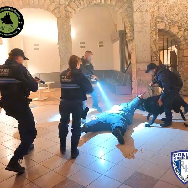 Interpellation de nuit lors d'une mise en situation avec chien d'intervention