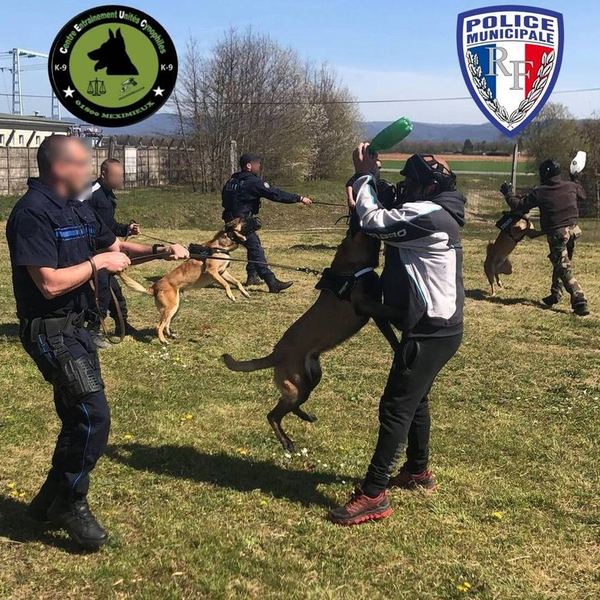 Exercice de mordant opérationnel encadré par le CEUC