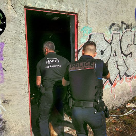 Recherche de personne en bâtiment désaffecté