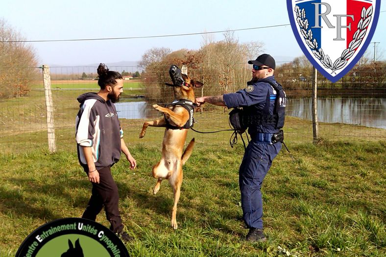 Séance d'éducation canine encadrée en extérieur