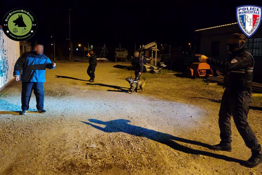 Mise en situation d'interpellation de nuit avec appui du chien lors d'un stage de perfectionnement